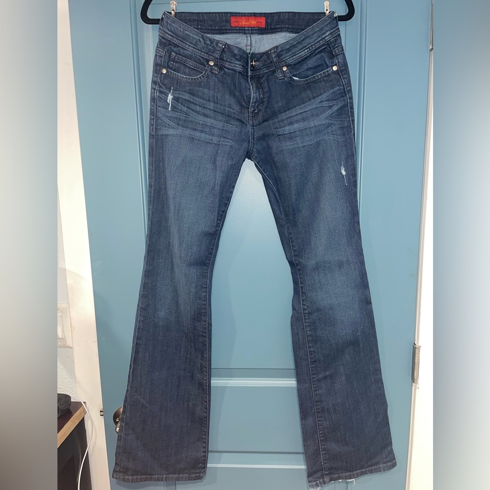 Level 99 flare jeans